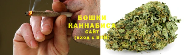 PSILOCYBIN Белокуриха