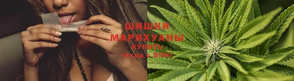 прущая мука Беломорск
