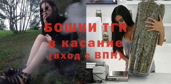PSILOCYBIN Белокуриха