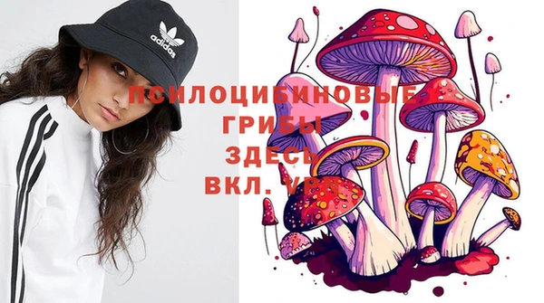 прущая мука Беломорск