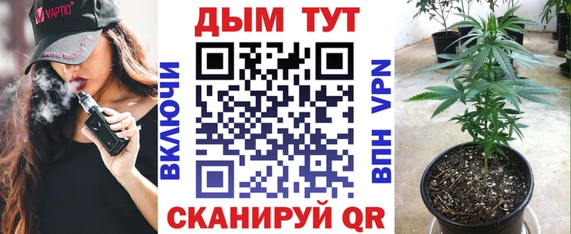 цены   Курлово  Марихуана ГИДРОПОН 